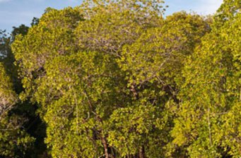 火燒嶼生態(tài)樂園