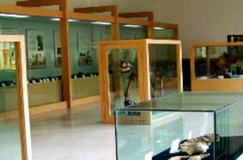 周口店遺址博物館