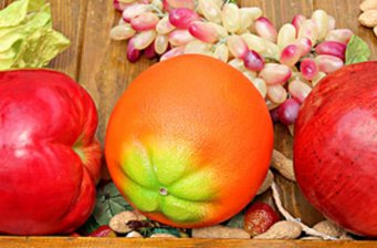 老馬綠色友好農(nóng)家飯莊