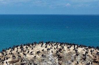 青海湖湖區(qū)