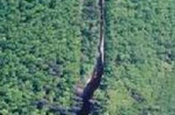 大沾河國家森林公園