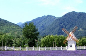 沈陽紫煙薰衣草莊園