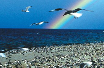 青海湖鳥島景區