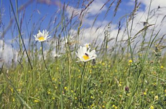 懷集三岳自然保護區