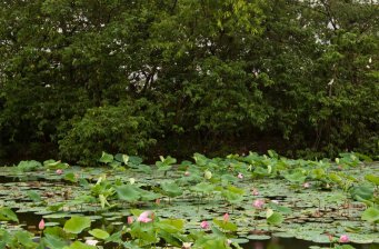 關山國家地質公園