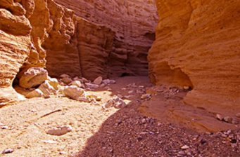 羅布泊雅丹大峽谷