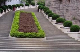 大云山國家森林公園