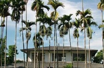 沉潭荷花田陶工房