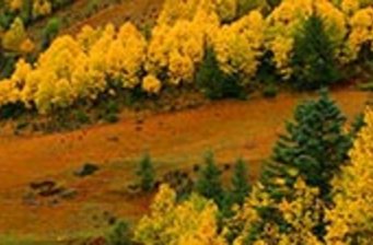 紅拉山自然保護區