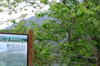 茂林風(fēng)景區(qū)