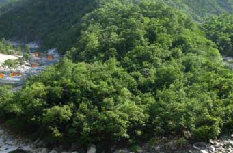 寶天曼地質公園