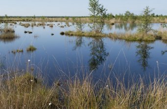 石漫灘國家森林公園