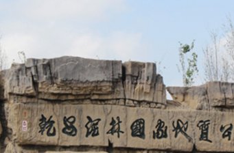 乾安泥林國家地質公園