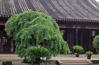 太平天國金田起義舊址