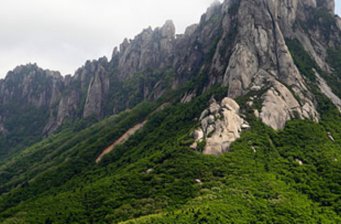 龍頭大山自然保護區(qū)