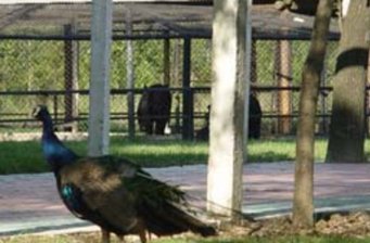 迪溝生態(tài)園