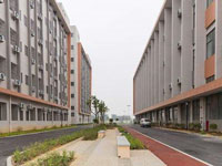 深圳水手體育專業游泳培訓