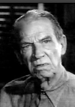 哈利·坦布魯克