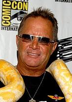 大衛·R·艾里斯