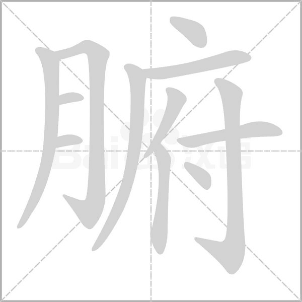腑的筆順動(dòng)畫(huà)演示